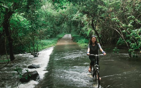 Kỳ nghỉ lễ sắp tới, hãy thử đưa con đến rừng Nam Cát Tiên chơi cùng cá sấu và 4 trải nghiệm lý thú sau