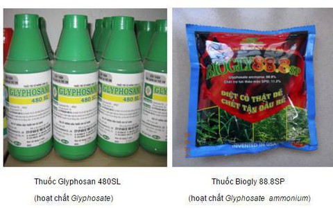 Chính thức loại bỏ thuốc bảo vệ thực vật chứa chất gây ung thư tại Việt Nam