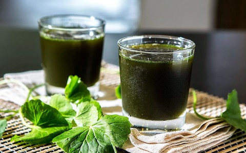 Giải nhiệt ngày nắng nóng cùng những gợi ý thực phẩm chữa bệnh từ chuyên gia Đông y