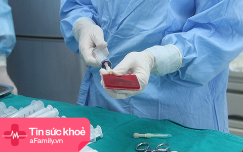 Hơn 750 ca ghép tế bào gốc điều trị bệnh máu thành công cho người bệnh đã được thực hiện