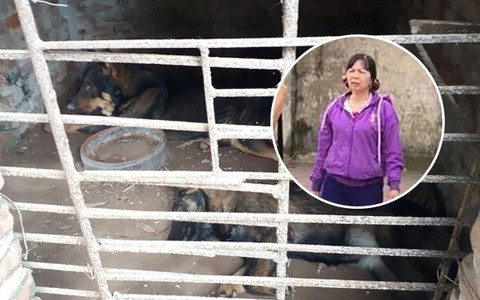 Chủ đàn chó cắn bé trai 7 tuổi tử vong: "Nuôi chó để vui cửa vui nhà, sự việc xảy ra tôi cũng ân hận lắm"