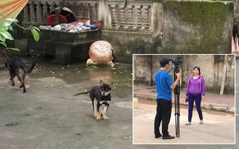 Chủ đàn chó cắn bé trai 7 tuổi tử vong lao ra khỏi nhà uy hiếp, chửi bới phóng viên