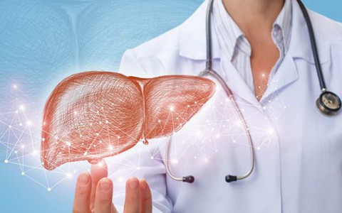 Chớ coi thường những dấu hiệu sau đây, vì rất có thể gan bạn đang bị nhiễm độc