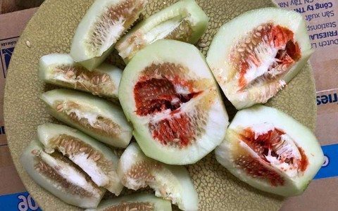 Hiện tượng dưa lê có ruột màu đỏ khiến chị em kinh hãi và lời lý giải của chuyên gia