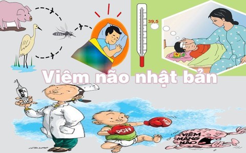 Đã có 1 trường hợp trẻ mắc viêm não Nhật Bản tại Hà Nội: Bệnh viêm não Nhật Bản có lây không và những ai dễ mắc bệnh?