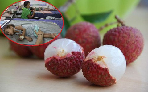 Vì thói quen ăn vải kiểu này, mỗi năm hơn 100 trẻ em ở miền bắc Ấn Độ đã tử vong