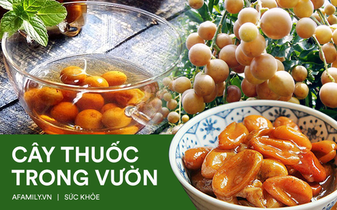 Quất hồng bì đang vào mùa rộ, chuyên gia mách hãy tận dụng để cả người lớn lẫn trẻ nhỏ đều khỏe re