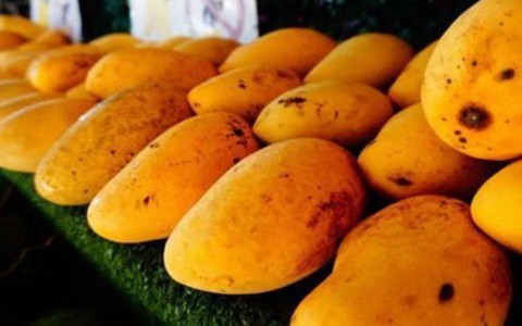 Chỉ vì sai lầm này trong lúc ăn xoài, người đàn ông phải nhập viện cấp cứu