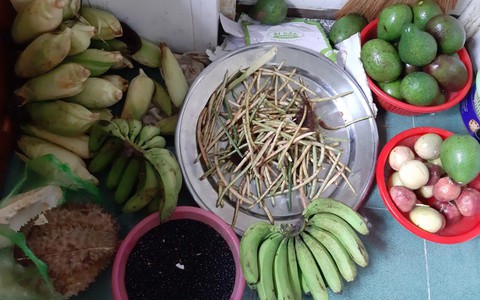 Thương con gái lấy chồng ở xa, bố mẹ ruột gói ghém cả khu vườn gửi cho, chị em nhìn thấy đều không khỏi xúc động