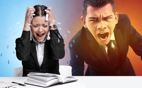 Rất yêu công việc nhưng ghét sếp? Đây là 4 điều chị em cần làm trước khi rơi vào bế tắc ở chốn công sở