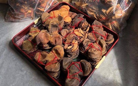 Nhặt vỏ quýt bỏ đi, chôn đất 6 năm sau đào lên bán 6 triệu/kg