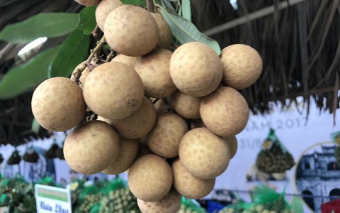 Lạ Việt Nam, chùm nhãn lồng cổ Hưng Yên bán giá 100 triệu đồng