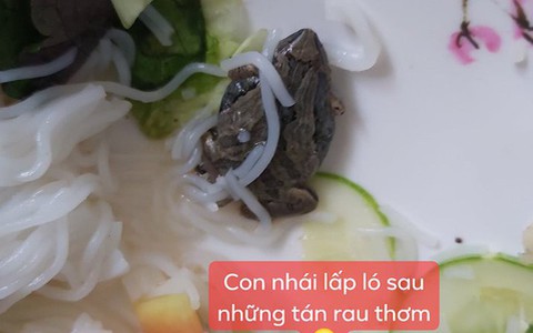 Đang ăn bún thịt nướng, cô gái rùng mình khi phát hiện "chú nhái lấp ló trong hộp"