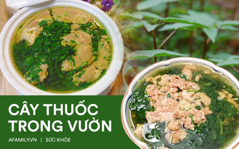 Loại rau giá rẻ bèo được bán đầy chợ, dùng nấu canh rất ngon và tận dụng từ lá đến hạt sẽ trị được bách bệnh 