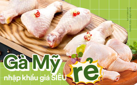 Giá gà Mỹ nhập khẩu về Việt Nam rẻ bằng 1/2 giá gà Việt có chất lượng ra sao?