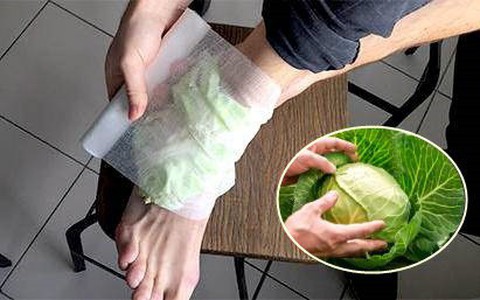 Dùng bắp cải theo cách này, bạn sẽ khỏi hẳn đau nhức xương khớp chỉ sau 1 giờ
