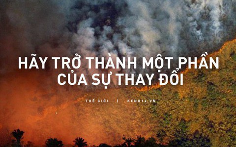 5 cách giải cứu rừng Amazon từ Quỹ Quốc tế Bảo vệ Thiên nhiên WWF: Hãy đọc ngay để biết bạn nên làm gì lúc này