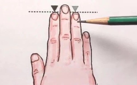 So sánh độ dài của ngón trỏ và ngón đeo nhẫn trên bàn tay phụ nữ sẽ biết được cuộc sống tương lai sướng khổ thế nào
