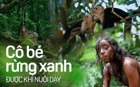 Chuyện kỳ lạ có thật về bé gái 5 tuổi được đàn khỉ nuôi dưỡng, về thế giới văn minh vẫn hành động như khỉ và cái kết không tưởng lúc cuối đời