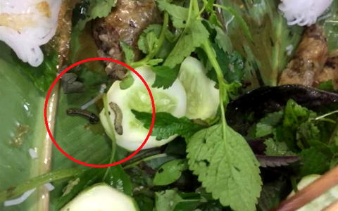 Hàng bún đậu nổi tiếng nhất nhì Hà Nội bị khách tố có sâu và phân sâu trong mẹt rau, ăn về còn đau bụng?