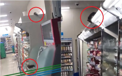 Đoạn clip chuột kéo nhau cả đàn “tấn công” một cửa hàng tiện lợi khiến hội chị em kẻ khóc thét, người rợn da gà