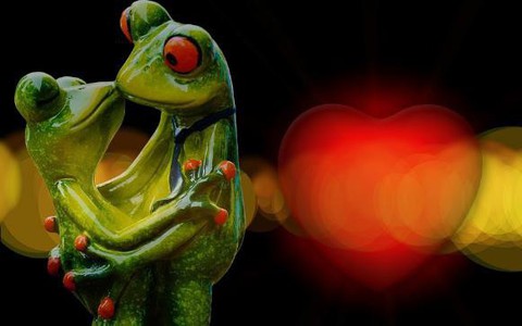 Đôi ếch Ấn Độ bị ép cưới để cầu mưa, 2 tháng sau lại phải ly hôn vì lũ lụt cả một bang