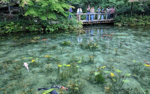 Hồ Nhật Bản đẹp như tranh sơn dầu của Monet: 20 năm trước vô danh, không ai biết đến, giờ thành địa điểm hút khách bậc nhất xứ hoa anh đào