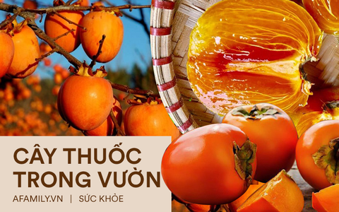 Loại quả chỉ có vào mùa thu, trông giống như cà chua ăn vừa ngon lại có thể chữa khỏi một loạt bệnh!