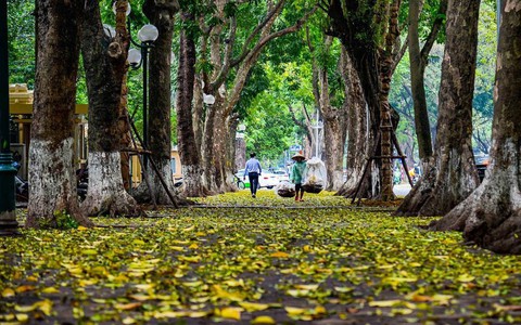 Đêm nay và sáng mai Hà Nội thời tiết se lạnh, vùng núi phía Bắc có nơi dưới 19 độ