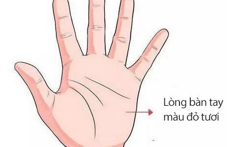 Phụ nữ sở hữu những tướng tay này xác định tuyệt sắc giai nhân, cả đời phú quý song toàn, cuộc sống luôn gặp được nhiều may mắn
