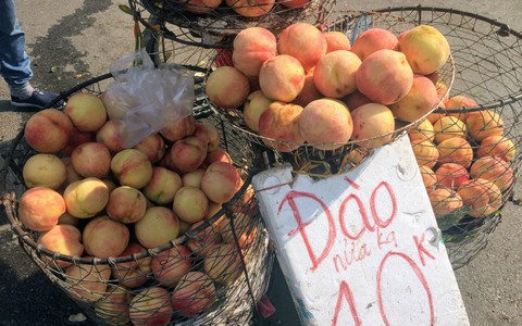 Nhập nhèm nguồn gốc xuất xứ của các loại hoa quả dù hết mùa nhưng vẫn đang được bán tràn lan trên thị trường