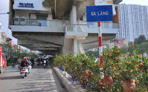 Nhà ga đường sắt trên cao chưa đi vào hoạt động đã thành chợ buôn bán cây cảnh Tết
