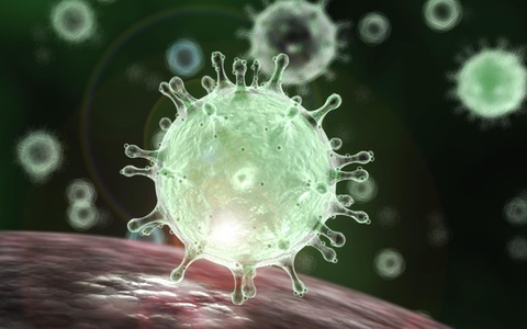 Thêm bệnh nhân dương tính virus corona, nâng tổng số ca nhiễm bệnh lên 9 người tại Việt Nam