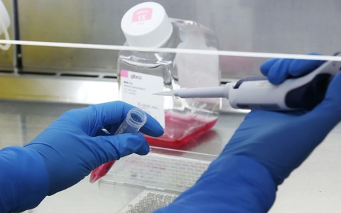 Đột phát: Các nhà khoa học Anh rút ngắn thời gian phát triển vắc-xin ngăn chặn virus corona, dự kiến tuần tới thử nghiệm trên động vật