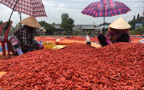 Đồng Tháp tìm đường đi cho nông sản trong mùa dịch