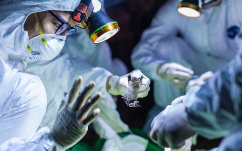 Mỹ xác nhận trường hợp đầu tiên tử vong vì nhiễm virus corona