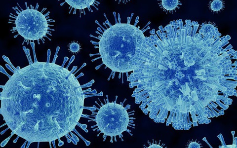 Campuchia: Bệnh nhân nhiễm virus corona đầu tiên và duy nhất được phục hồi hoàn toàn