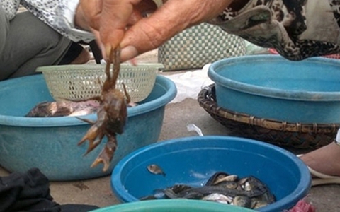 Chiêu trò kinh doanh cua đồng bằng bùn đất, hóa chất
