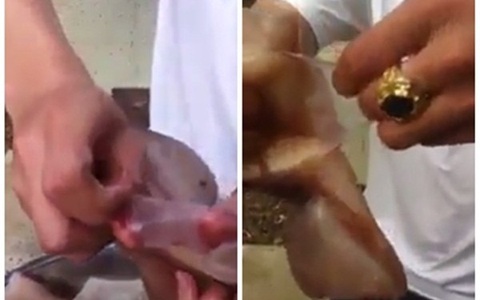 Người tiêu dùng thông thái chỉ ra sự thực trong clip mực giả gây hoang mang