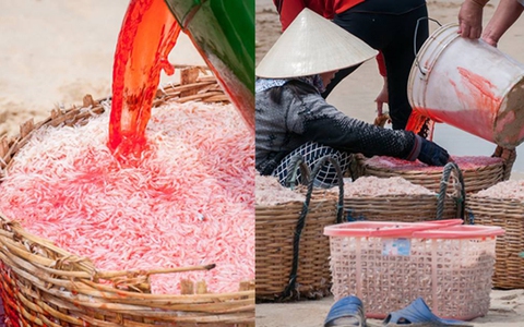 Kinh hãi tận mắt chứng kiến cảnh ngư dân dùng phẩm màu "nhuộm" đỏ ruốc biển