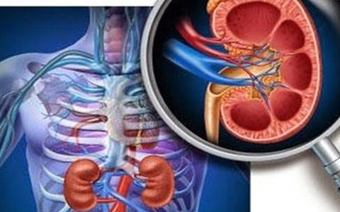 Bàng quang thần kinh: Nguyên nhân khiến nhiều người Việt suy thận