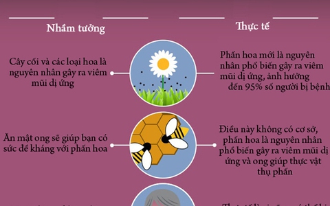 Infographic: Nắm rõ những điều sau đây để không bao giờ bị viêm mũi dị ứng khi giao mùa