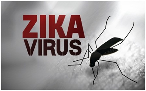 Phát hiện 2 trường hợp đầu tiên nhiễm virus Zika tại Việt Nam, trong đó có một thai phụ