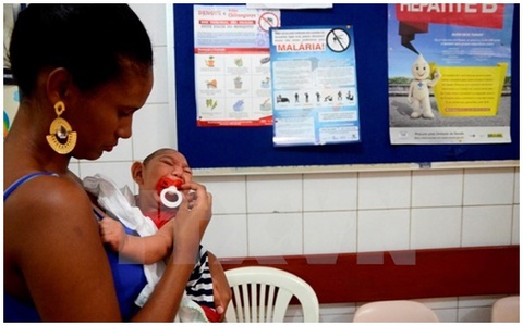 WHO: Lần đầu tiên phát hiện chủng virus Zika châu Mỹ ở châu Phi