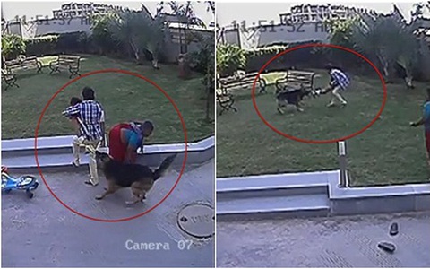 Cậu bé 10 tuổi dũng cảm lao vào cứu em gái bị chó dữ tấn công