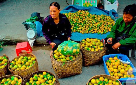 Tháng 11 lên Bắc Sơn ngắm tam giác mạch, ăn quýt chín