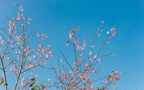 Những điểm đến “cuốn hút” ngày đầu năm