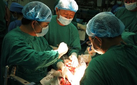Việt Nam sẵn sàng kế hoạch cho ca ghép đầu người