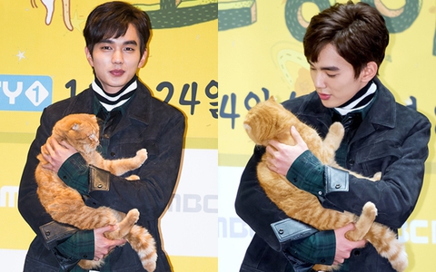 Yoo Seung Ho bế mèo đi họp báo phim