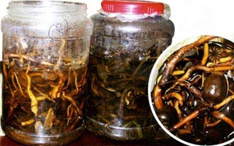 Uống “thần dược”, một người chết, một người nguy kịch